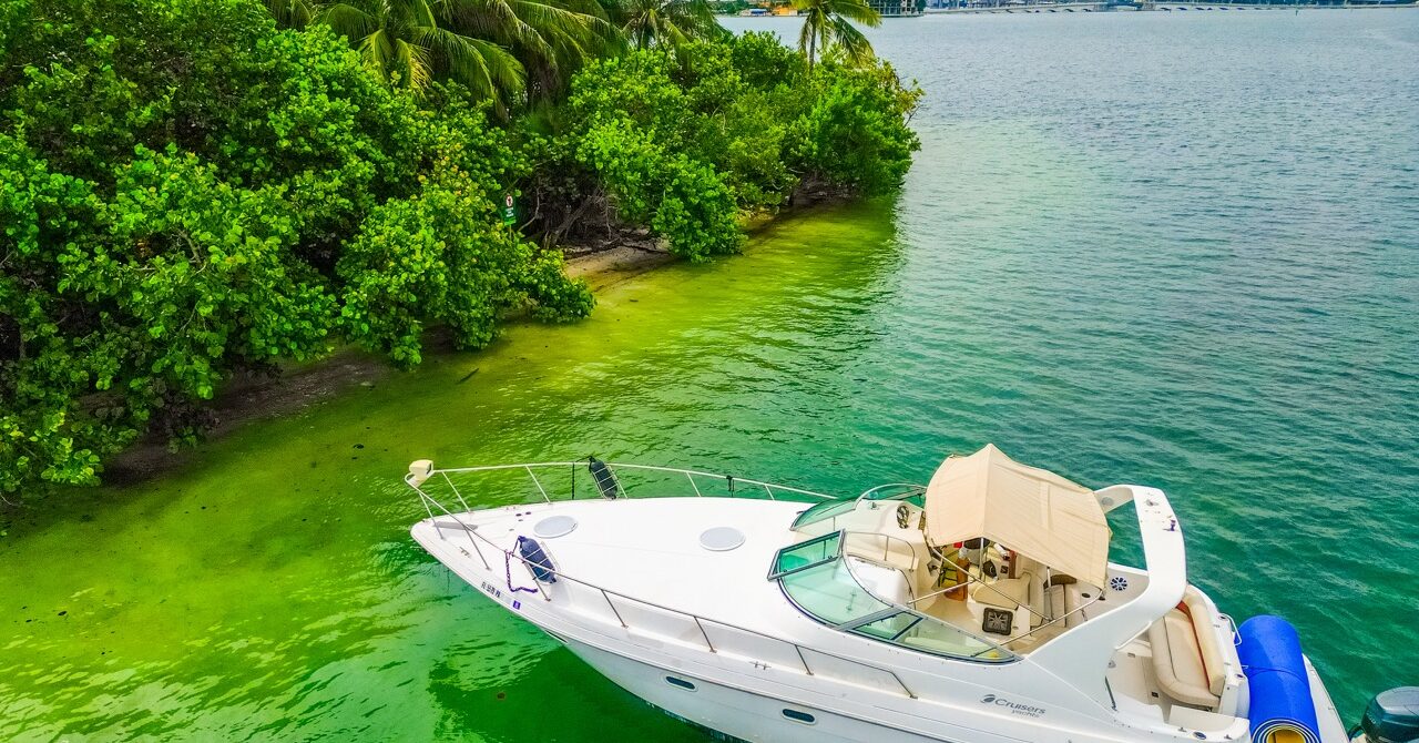 Cruiser 37' 8 Cruiser 37′