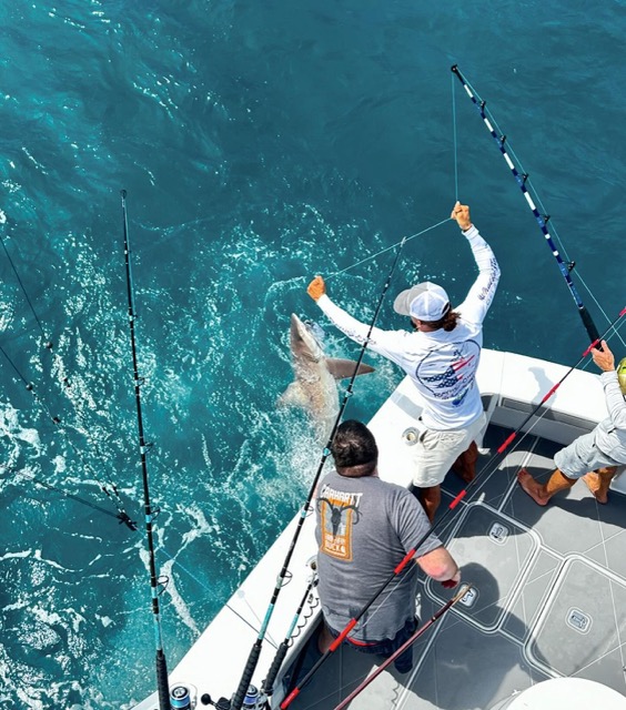 Successful catch being lifted aboard during a charter fishing trip