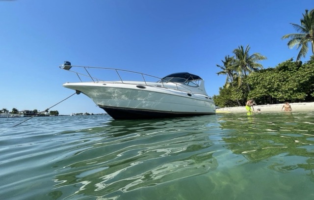Sea Dollar Sea Ray 34′