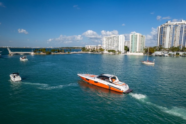 Bahia Panther 80′