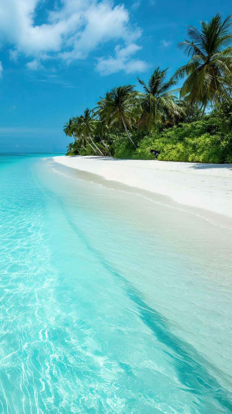 Bimini crystal-clear water and island vibes